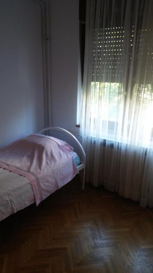 Apartmani Bozica 卓得诺沃 外观 照片