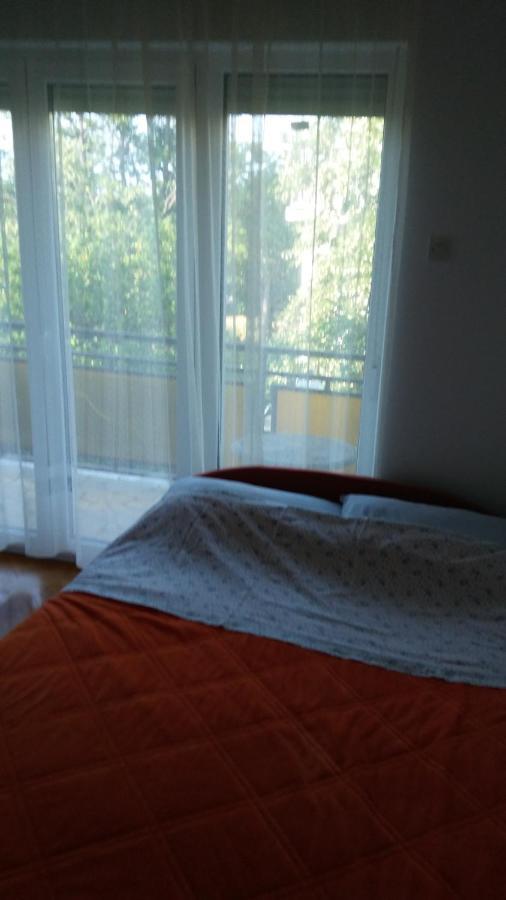 Apartmani Bozica 卓得诺沃 外观 照片