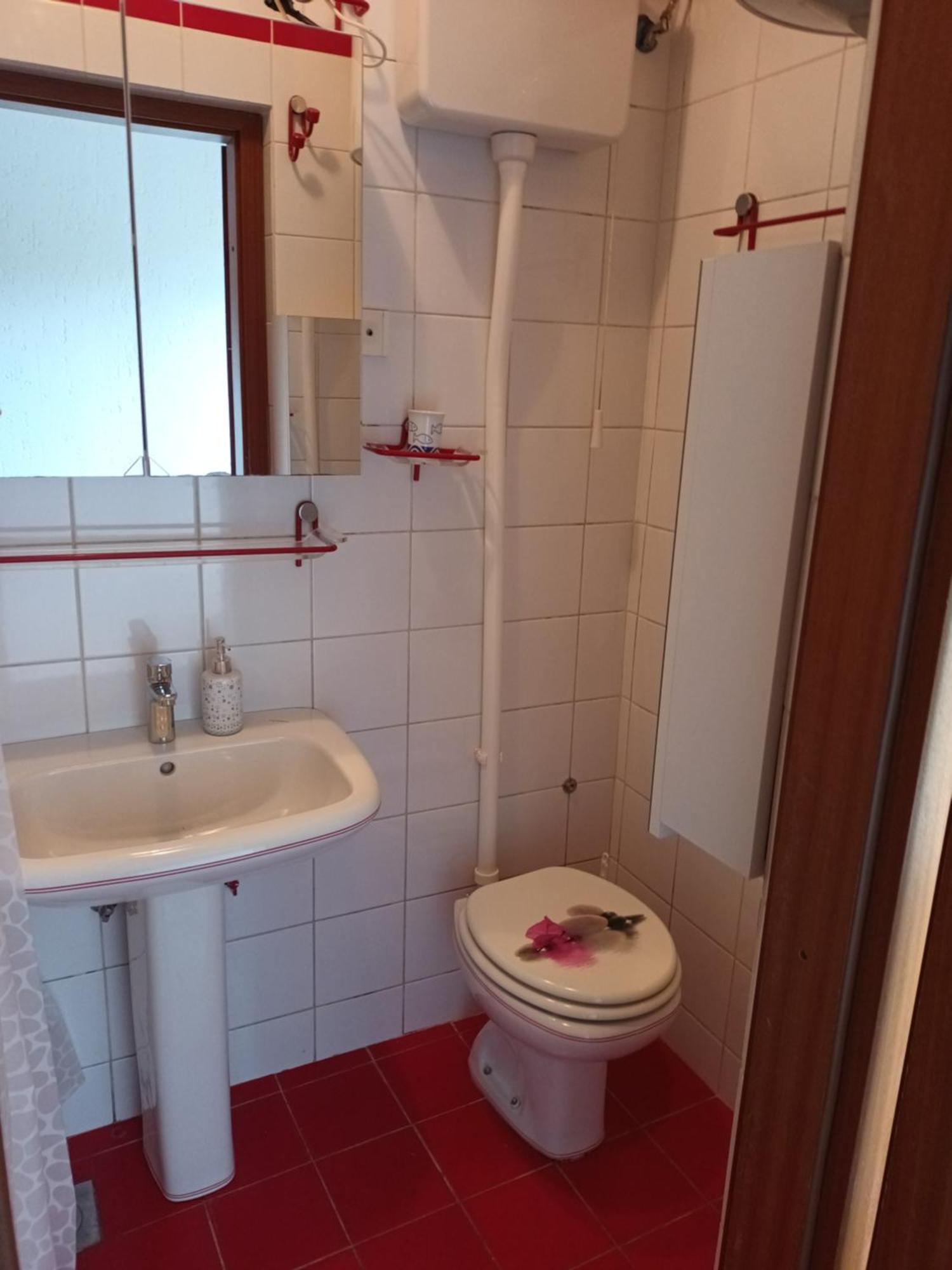 Apartmani Bozica 卓得诺沃 外观 照片